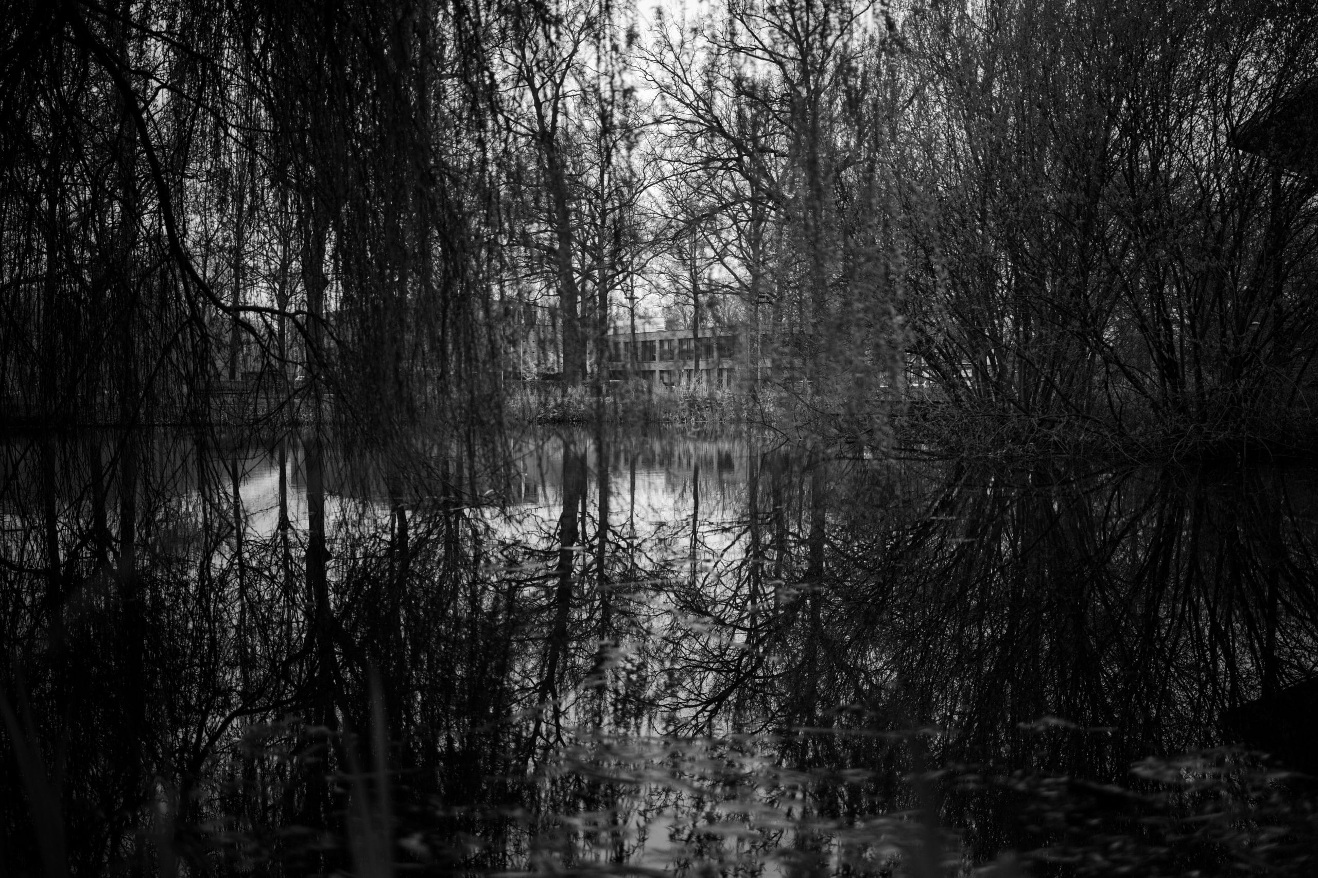 Weerspiegeling in water